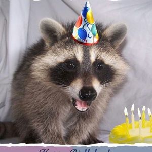 Meet your Posher, Sonia